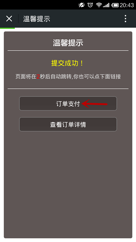 5(订单支付) 5’查看订单详情_副本.png